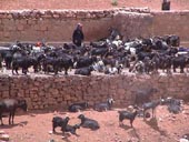 PhotoLRX/juin01/Maroc